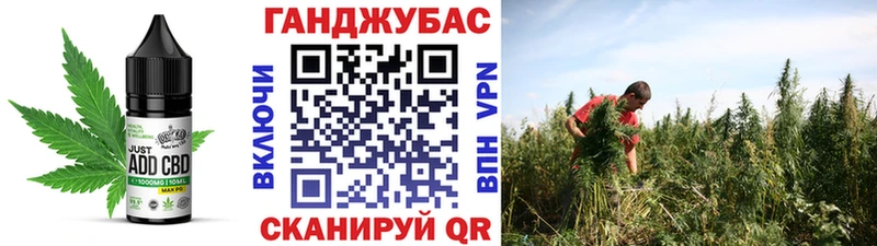 Купить где  Новохопёрск  Canna-Cookies марихуана 