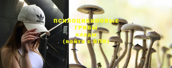 стаф Бронницы