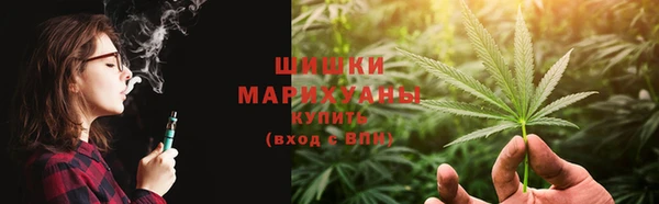 стаф Бронницы