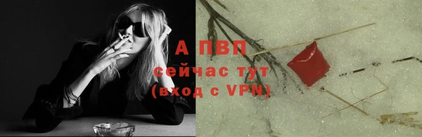 стаф Бронницы
