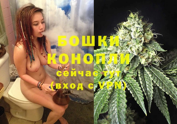 стаф Бронницы